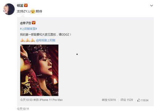 郑燕姿漂流视频爆料,揭秘明星私生活瞬间